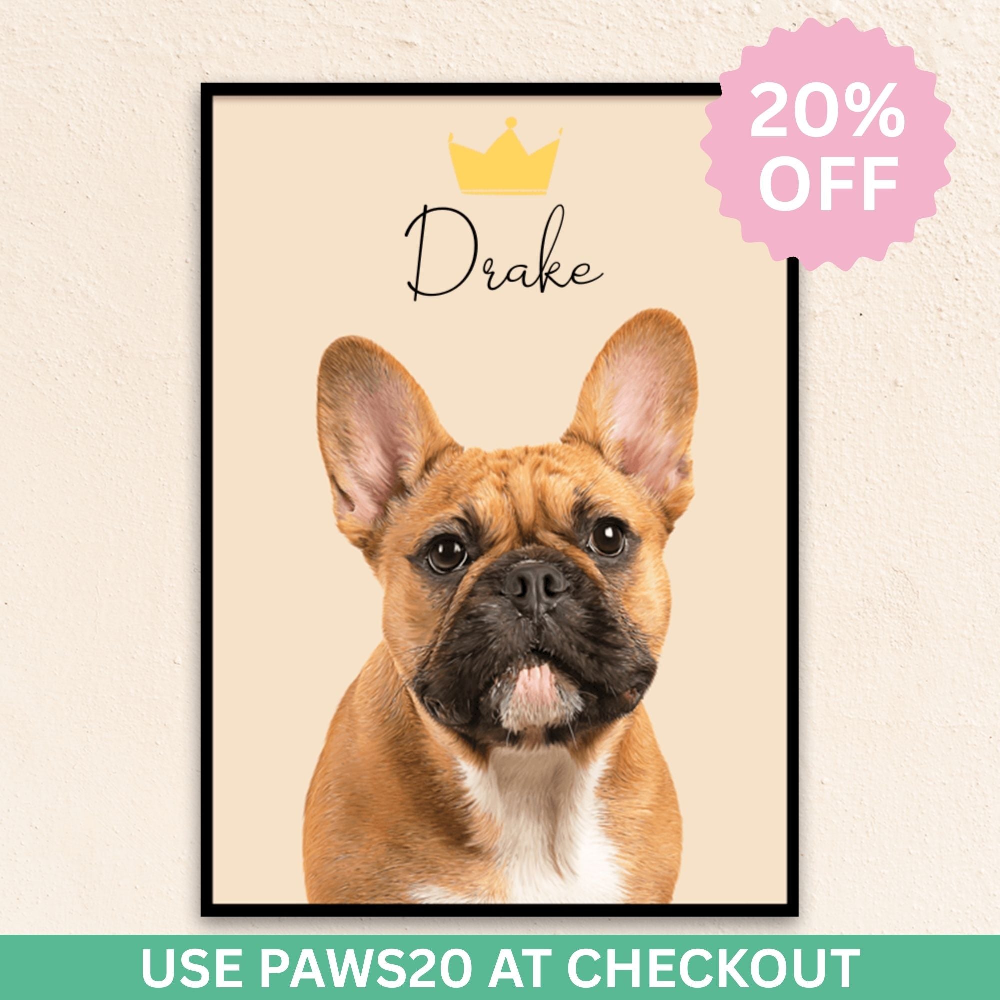 Custom Modern Pet Portrait | Crown