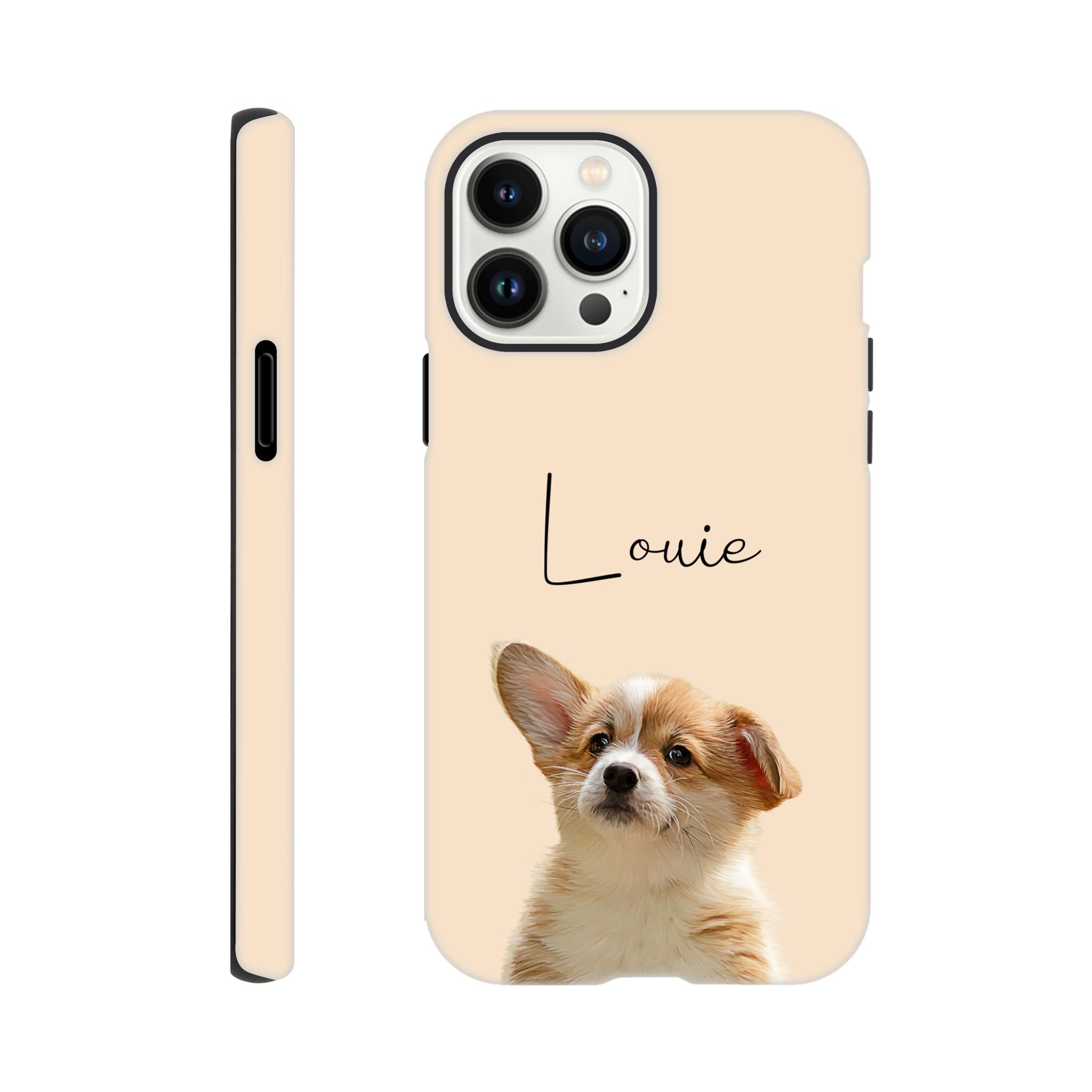 61e7087e-bf31-4d9d-8c48-f6d67a2ba139