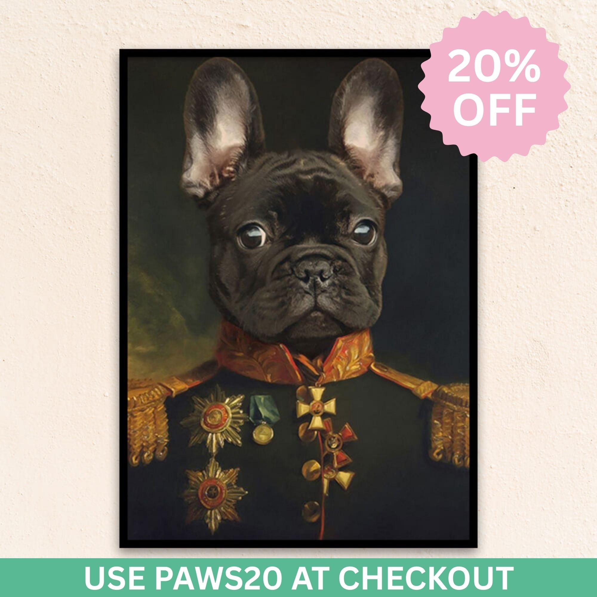 Custom Military Pet Portrait | The Captain