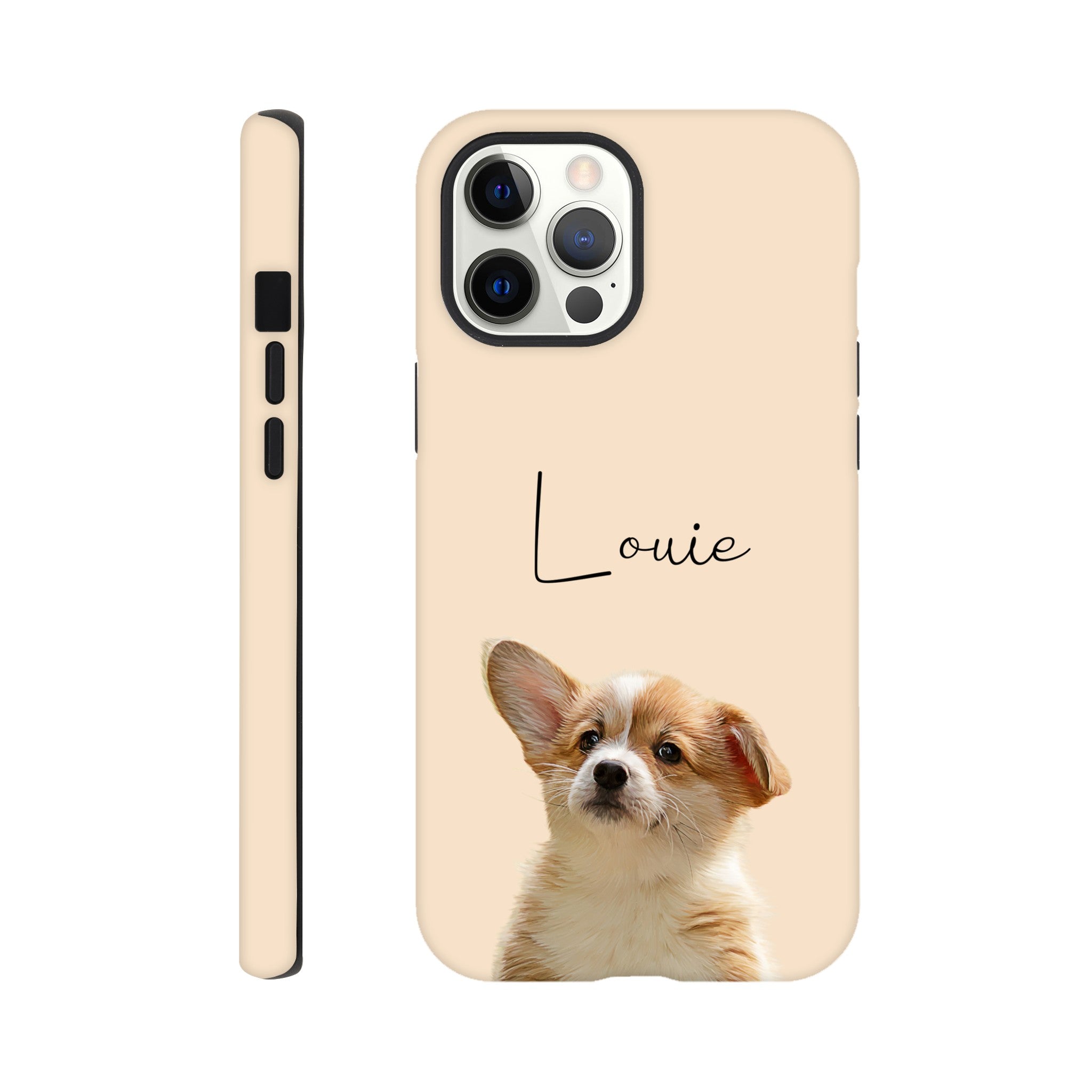 8fe9e5cb-0803-4521-9181-9a9148b73cb8