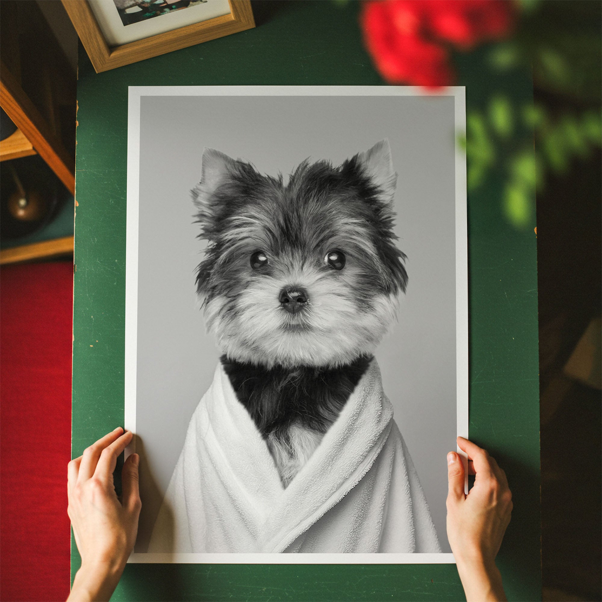 Custom Bathroom Pet Portrait | Black & White Robe