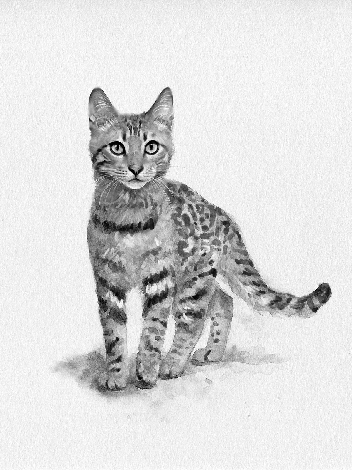 Custom Pet Portrait | Black & White Watercolor