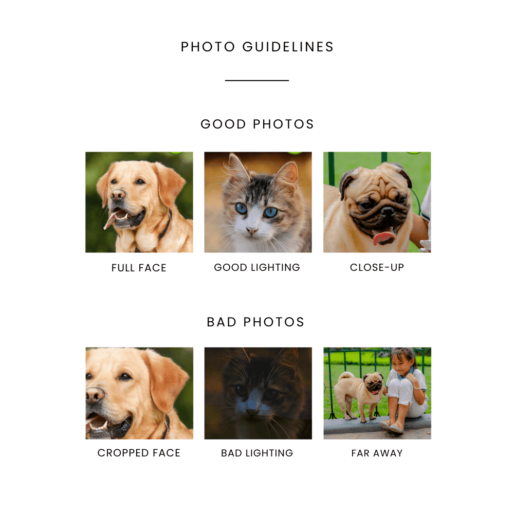 Custom Military Dog Portrait I The Major General