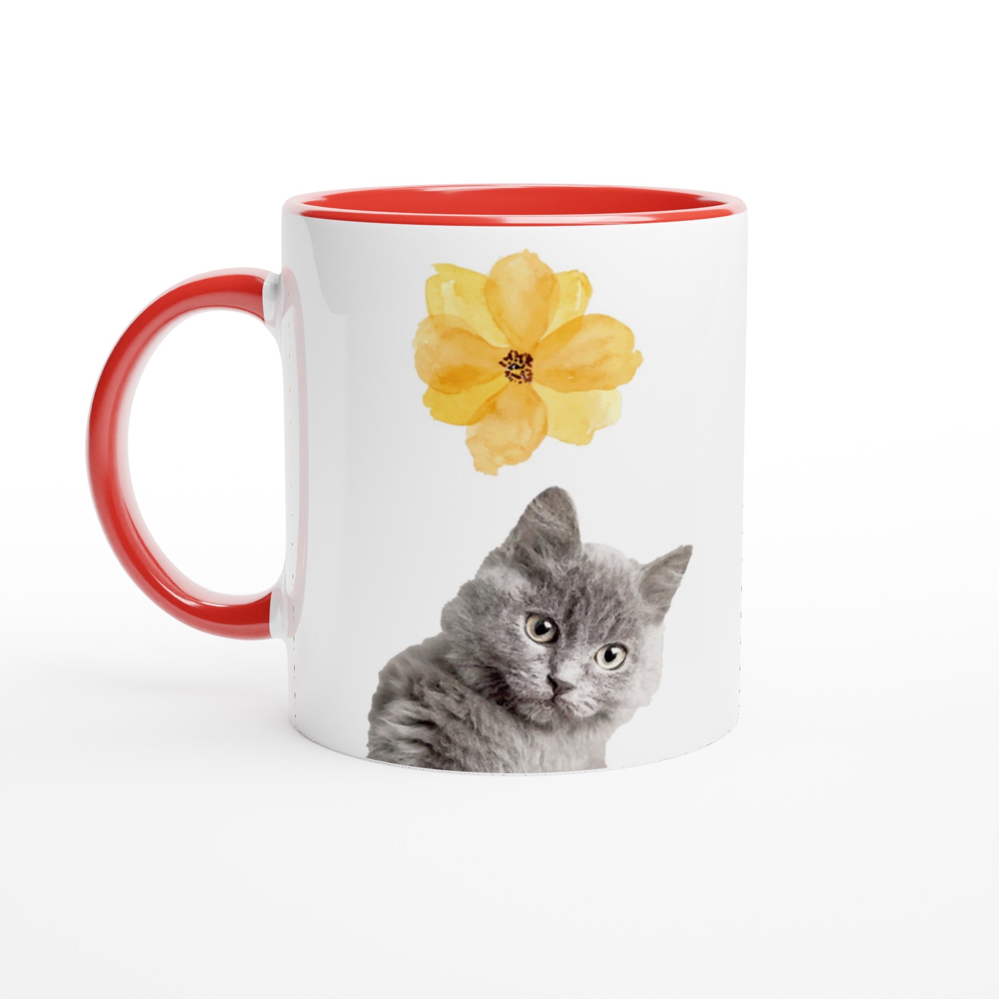 Custom pet portrait white mug. British short hair cat with yellow flower above cat. Red interior mug and red handle.