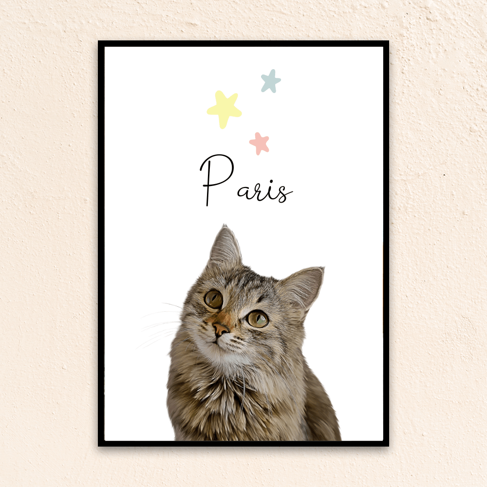 Pet's name above cat and pastel stars.