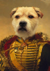 THE MAJOR GENERAL - CUSTOM PET PORTRAIT portrait-my-pet.com