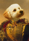 THE MAJOR GENERAL - CUSTOM PET PORTRAIT portrait-my-pet.com