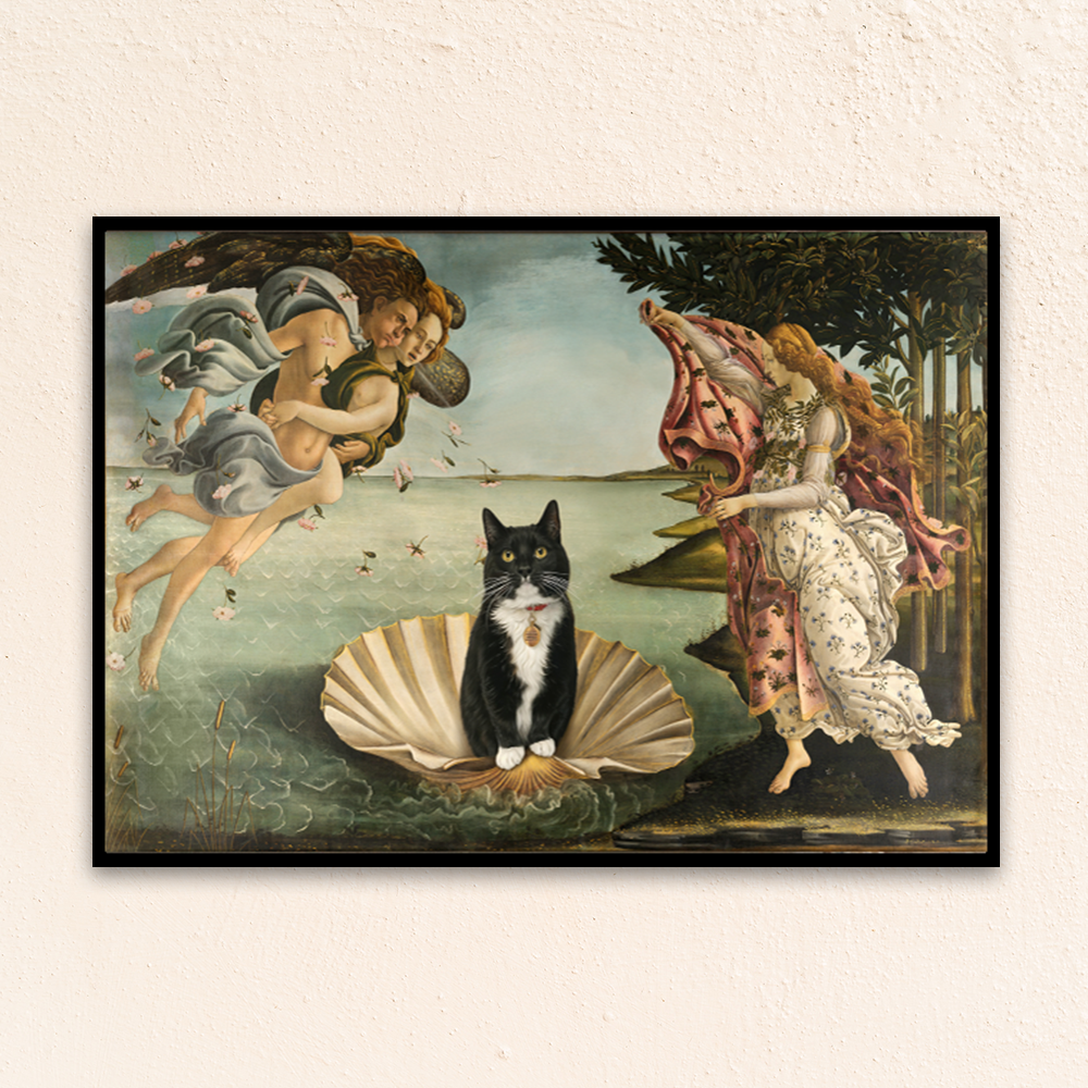 Custom funny pet portrait. Leonardo Da Vinci's Birth of Venus portrait with black and white cat wearing a collar.