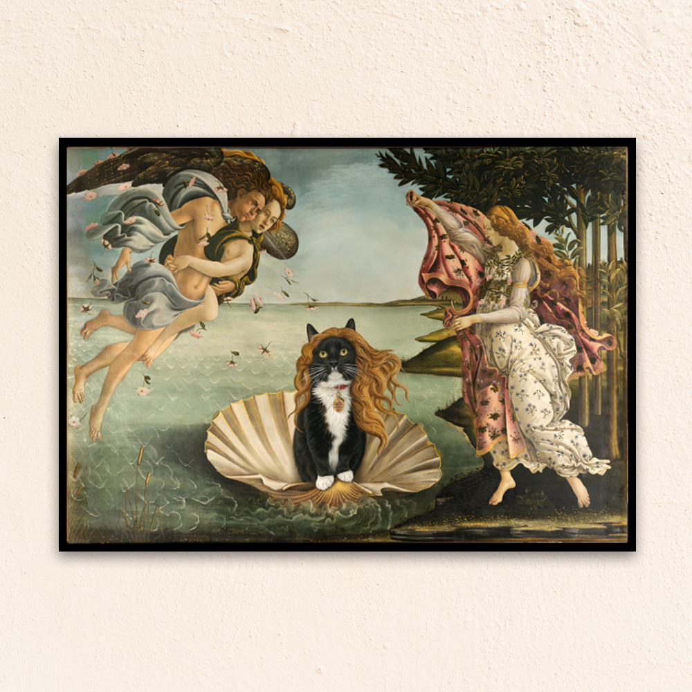 Custom funny pet portrait. Leonardo Da Vinci's Birth of Venus portrait with black and white cat wearing a collar and a wig. 