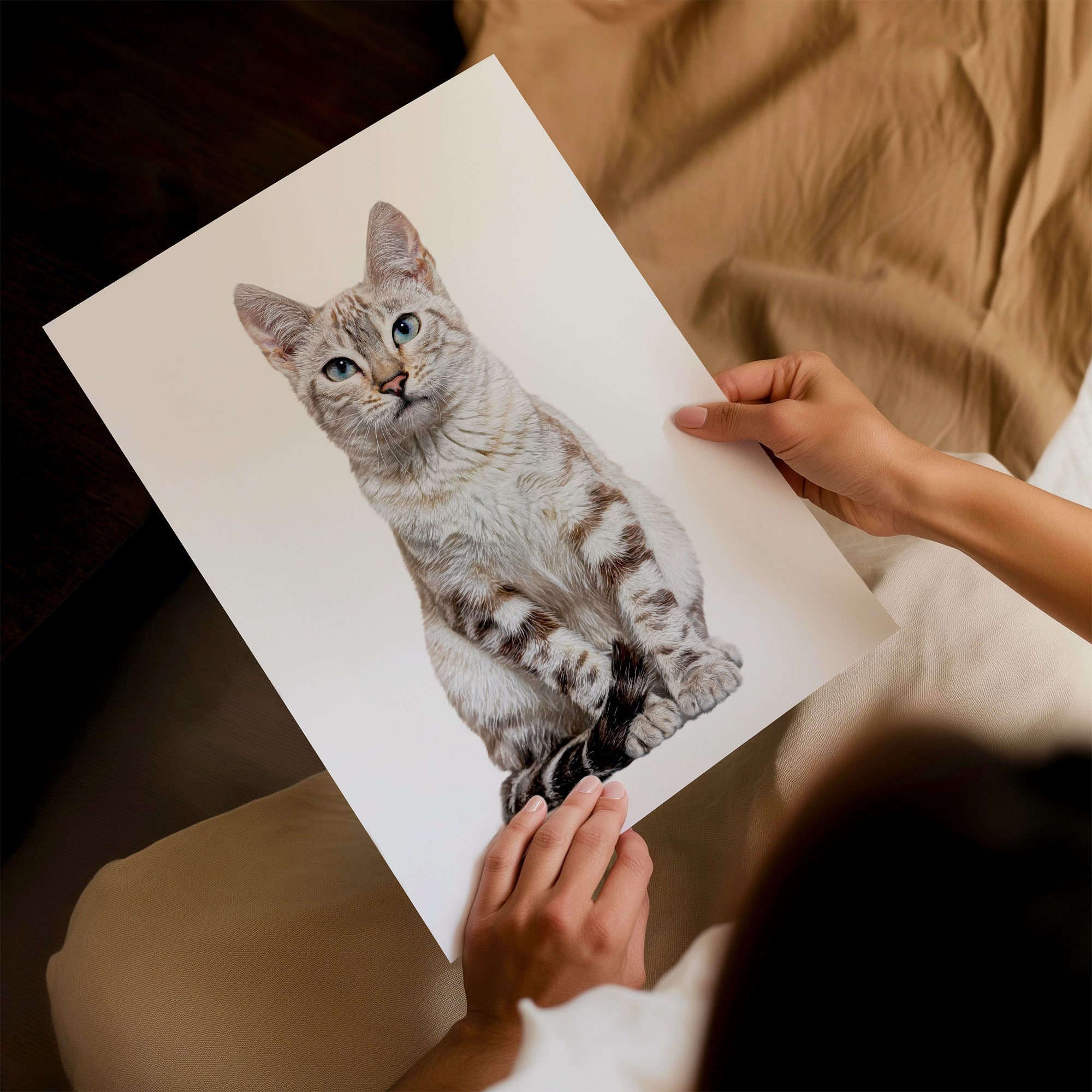 Custom Cat Portrait | Full