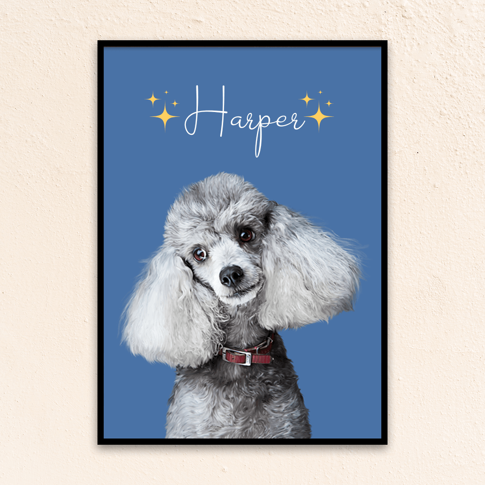 Custom minimal pet portrait. Poodle with the pet's name at the top of the poster. Name at the top of poster with yellow stars on each side of the name. Poster background is blue.