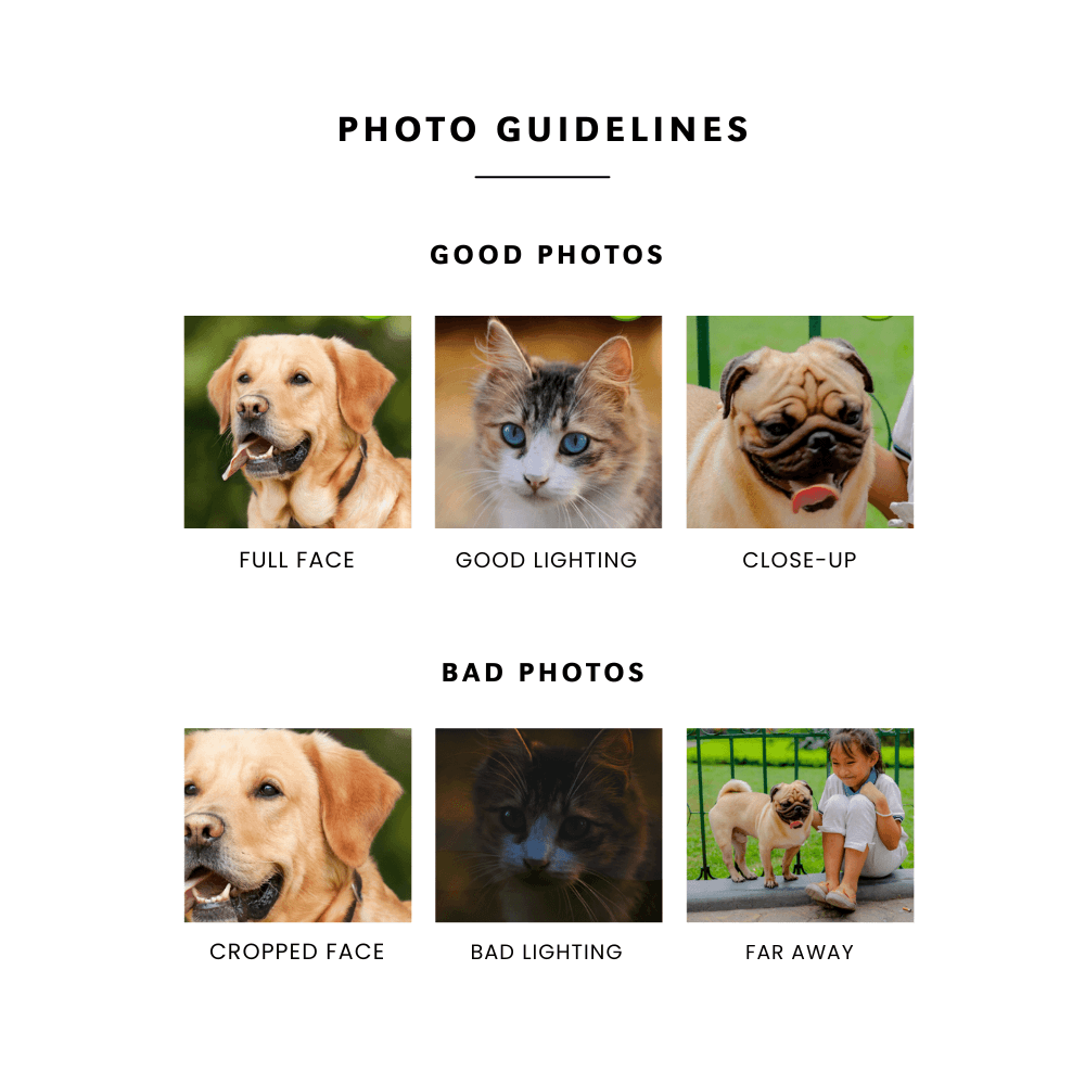 photo guidelines