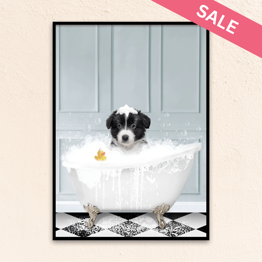 Custom funny pet portrait wall art, Border Collie puppy in bath tub with rubber duckie and black and white checker tiled floor.