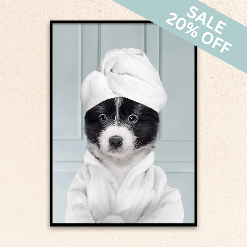 Custom funny pet portrait  wall art, Border Collie puppy in bathrobe and towel at spa.