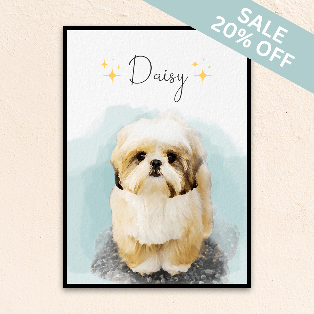 Custom watercolor pet portrait. Shih Tzu with the pet's name above the pet. Stars on both sides of the pet's name.