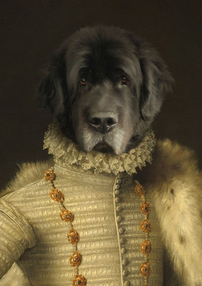 The Elizabethan - Custom Pet Portrait