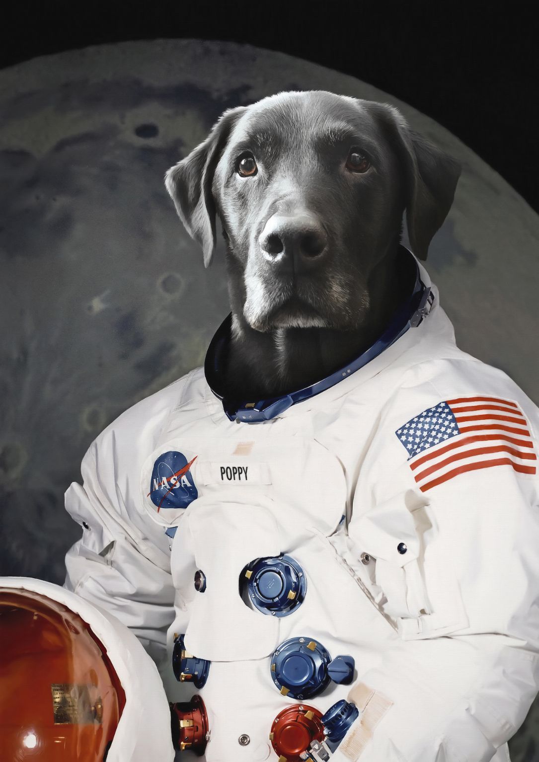 The Astronaut - Custom Pet Portrait