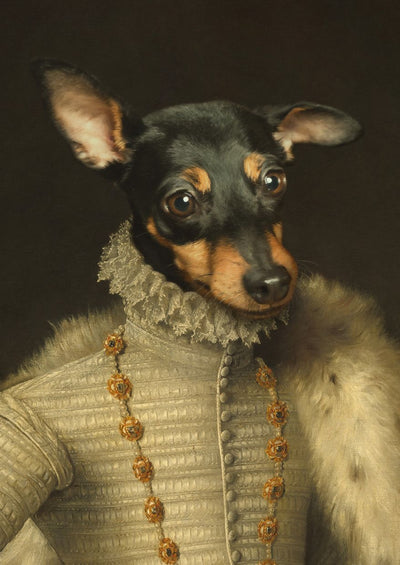 The Elizabethan - Custom Pet Portrait
