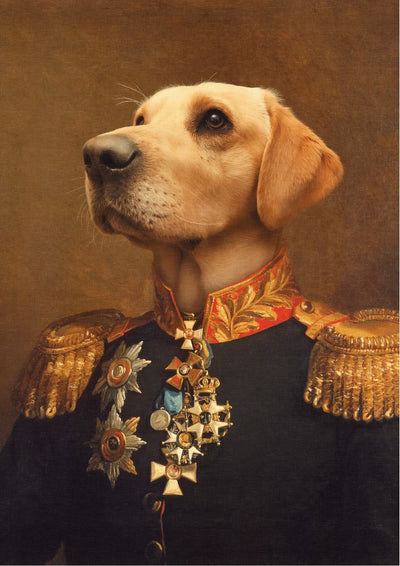 THE BRIGADIER GENERAL - CUSTOM PET PORTRAIT portrait-my-pet.com