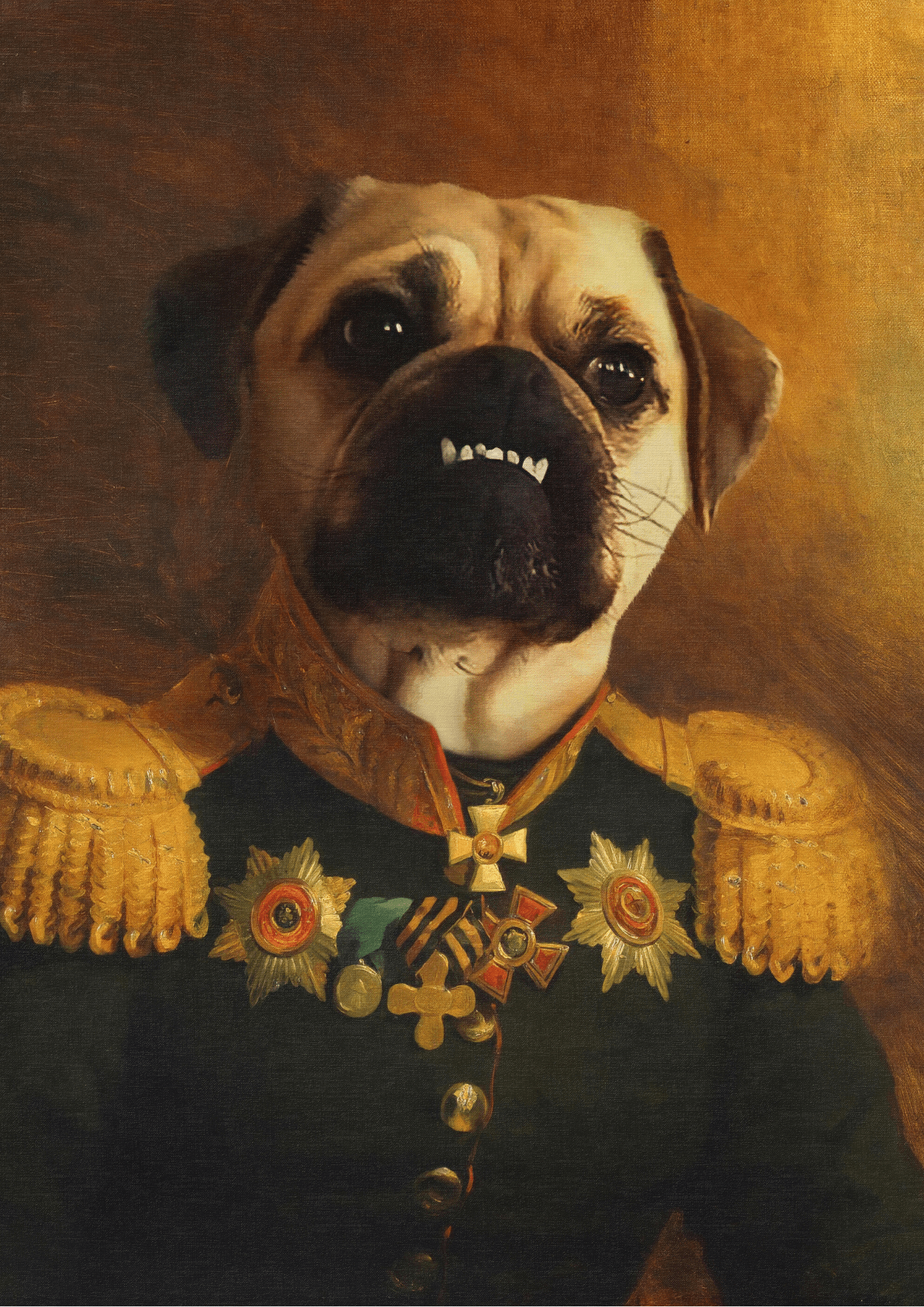THE WAR GENERAL - CUSTOM PET PORTRAIT portrait-my-pet.com 