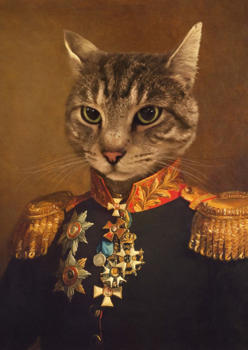 THE BRIGADIER GENERAL - CUSTOM PET PORTRAIT portrait-my-pet.com 