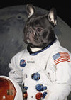 The Astronaut - Custom Pet Portrait