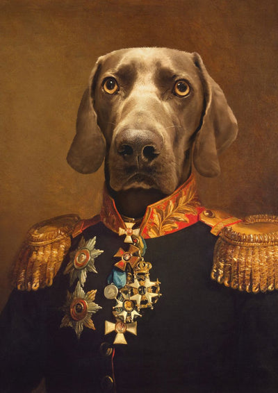 The Brigadier General - Custom Pet Portrait